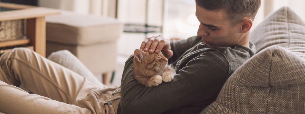 Man relaxing on a sofa, gently petting an orange tabby cat in a cozy, warmly lit living room.