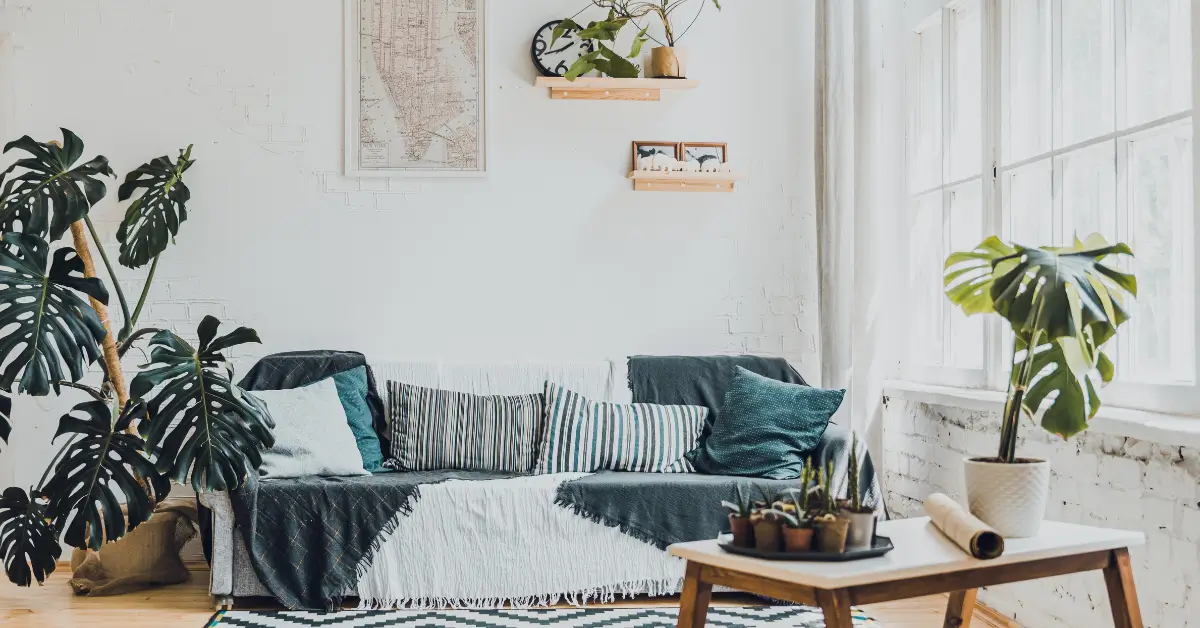 A bright and cozy living room with a gray sofa covered in a white and dark throw blanket, decorated with striped and teal cushions, large potted monstera plants, a coffee table with small potted plants, and sunlight streaming through large windows.
